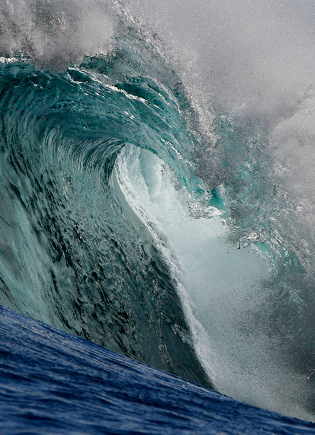 Portrait Surf Prints