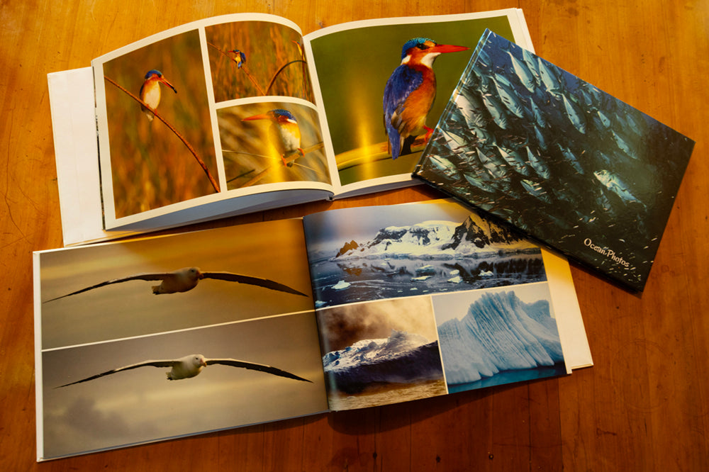 Photobook - Kgalagadi Desert