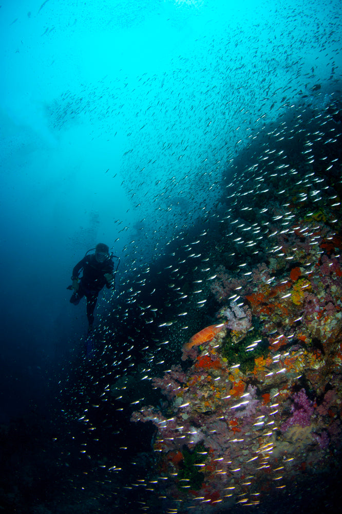 Blue Depths