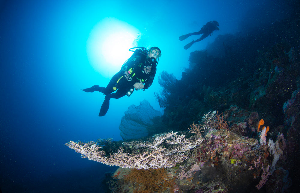 Two scuba divers exploring an intense blue coral reef underwater