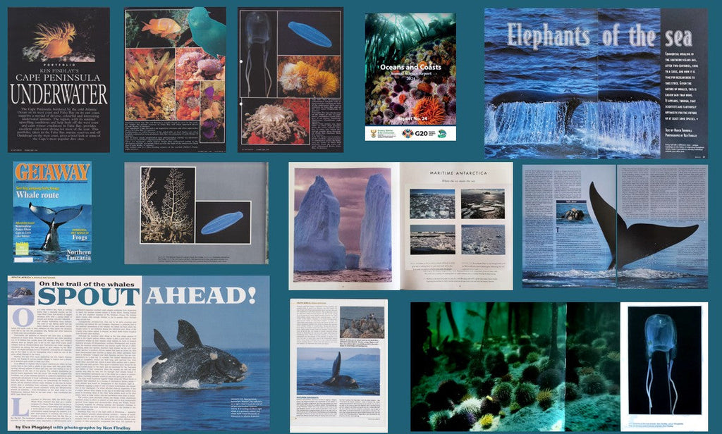 Publication Use