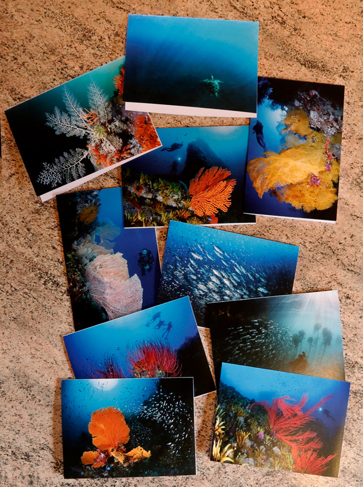 Cards - Kelp Forests
