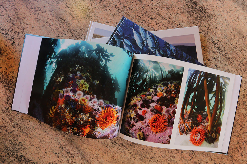 Photobook - Kelp Forests