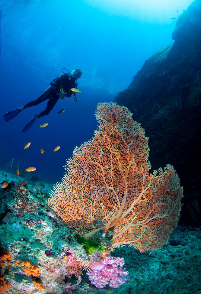 Similan Seascape