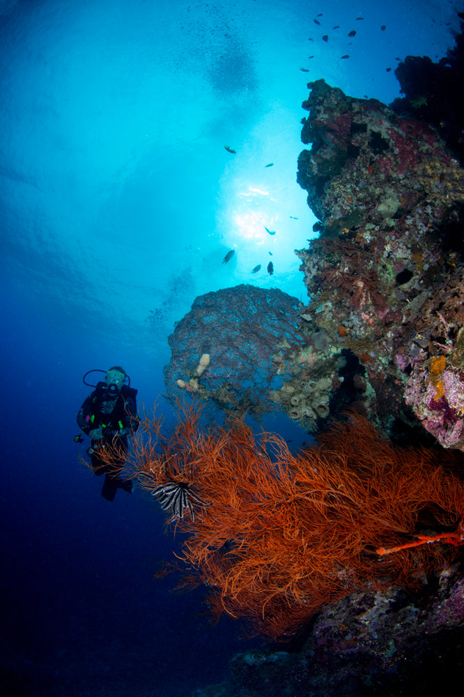 Pinnacle Dive