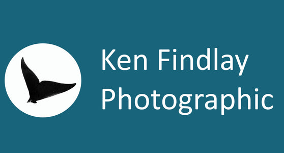 Ken Rood Findlay Ken Findlay Photographic