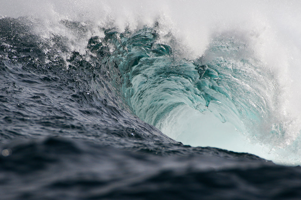 Ocean Curl