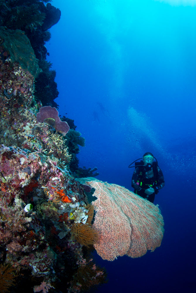 Diver exploring a coral reef underwater in electric blue visibility